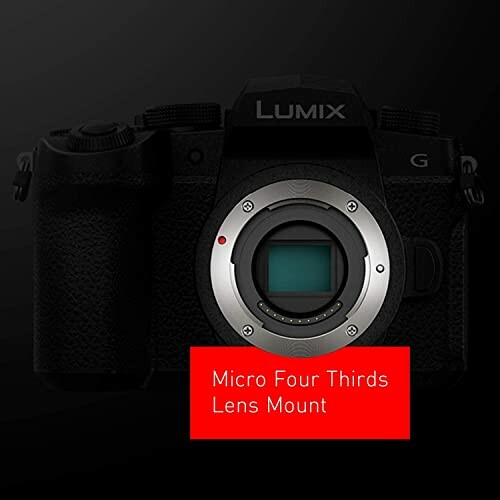 Lumix camera body with Micro Four Thirds lens mount